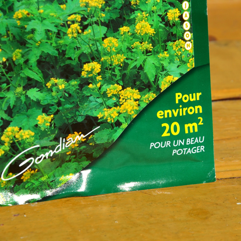 Samen-Gernand Engrais Vert Moutarde Jaune 2kg - Pour 400m² - Semis Rapide, Supprime Mauvaises Herbes
