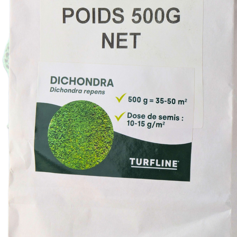 Dichondra, semences professionnelles. 300 gr pour 25 m²