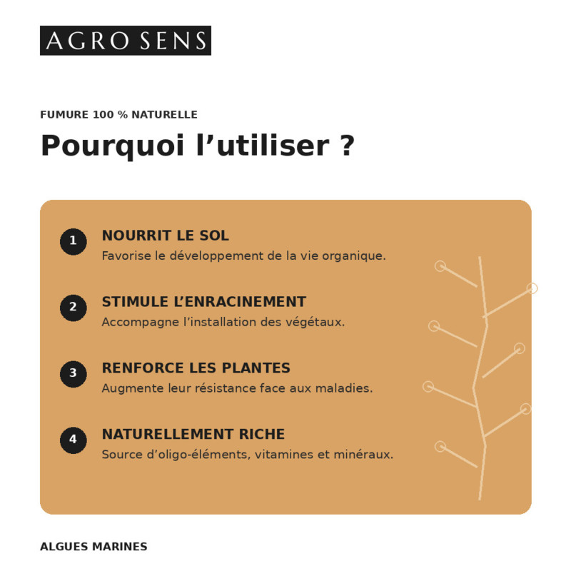 Algues pures en poudre pour le jardin | Comptoir des Jardins