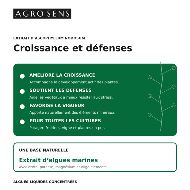 Engrais liquide concentré : Croissance et Défenses - UAB