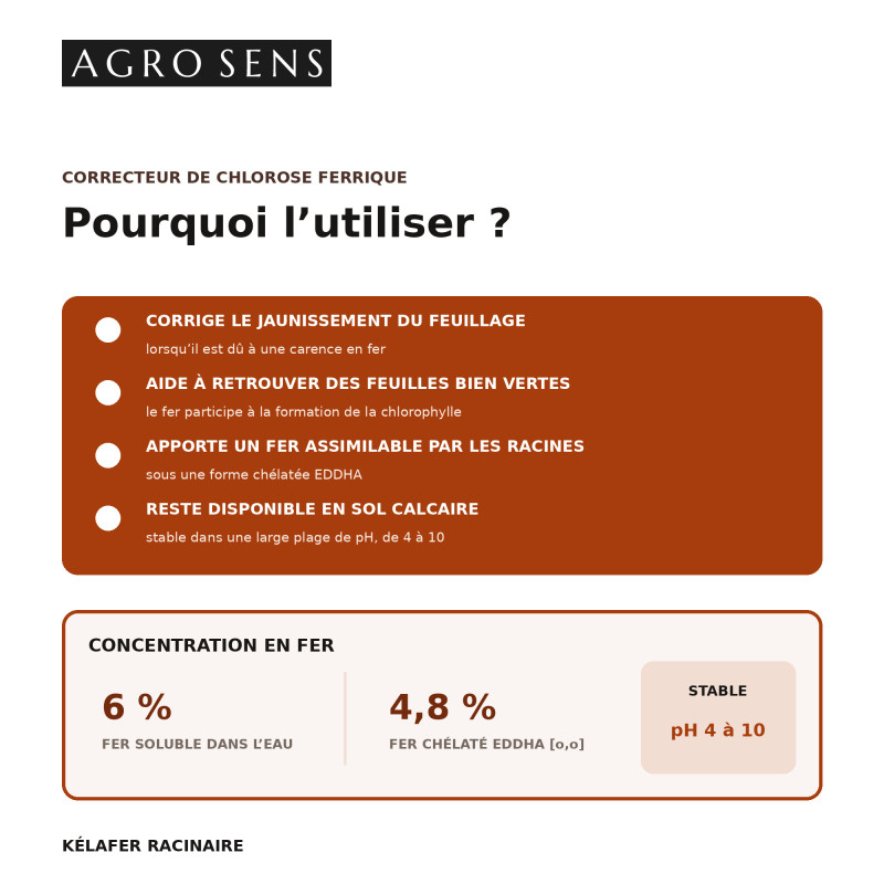 Kélafer Racinaire - Correcteur de chlorose ferrique | Agro Sens
