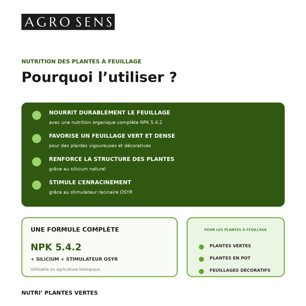 Engrais organique pour plantes vertes, concentré à diluer