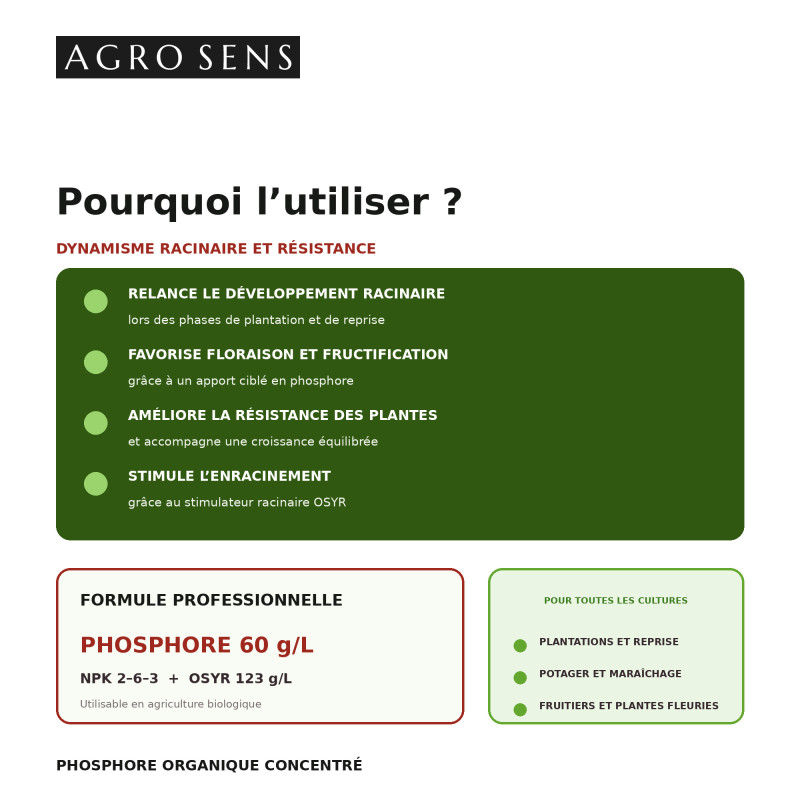 Phosphore organique liquide avec stimulant racinaire