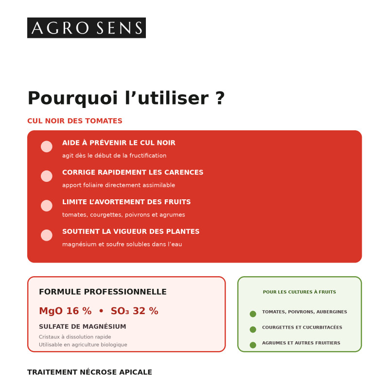 Traitement de la nécrose apicale - cul noir des tomates