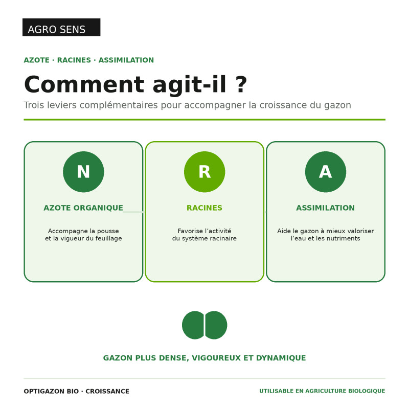 Engrais gazon liquide : Croissance | Comptoir des Jardins