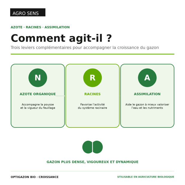 Engrais gazon liquide : Croissance | Comptoir des Jardins