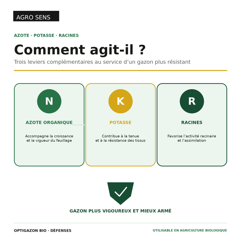 Engrais gazon liquide : Défenses | Comptoir des Jardins