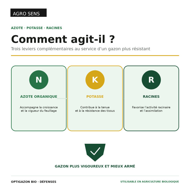 Engrais gazon liquide : Défenses | Comptoir des Jardins