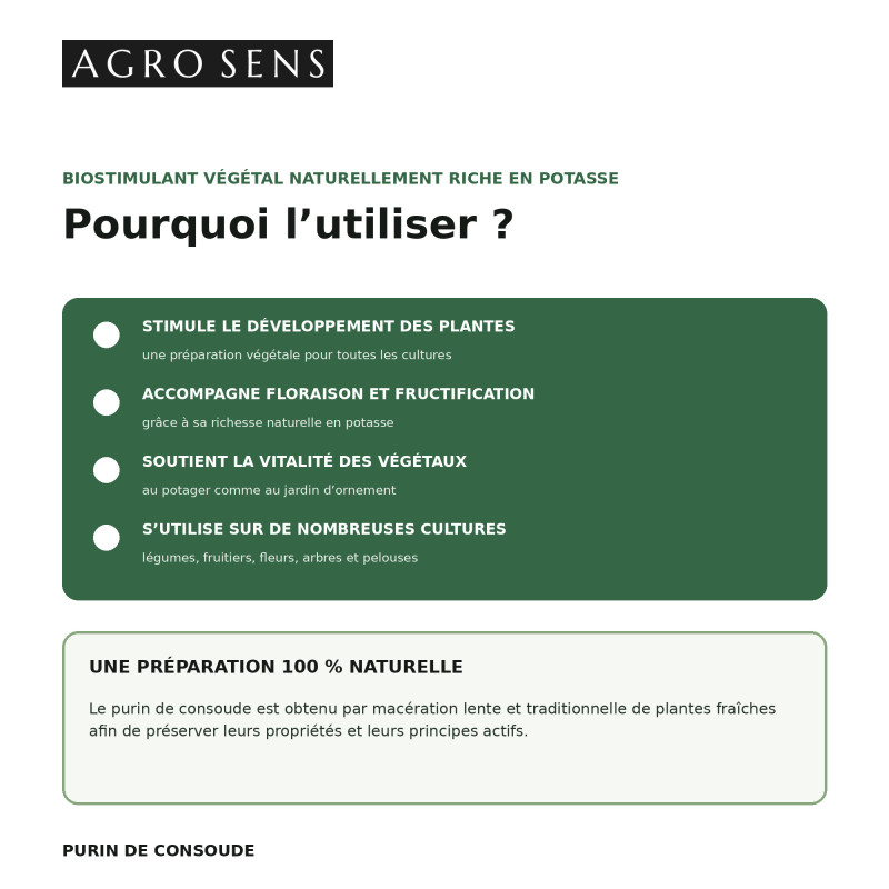 Purin de consoude concentré | Comptoir des Jardins