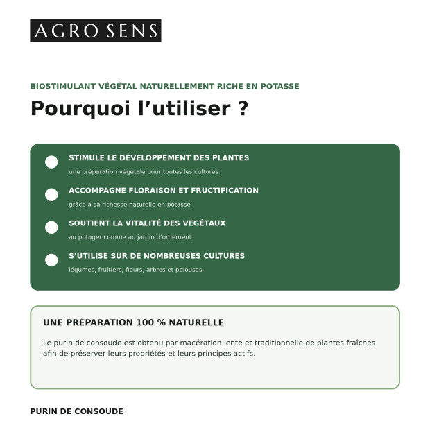 Purin de consoude concentré | Comptoir des Jardins