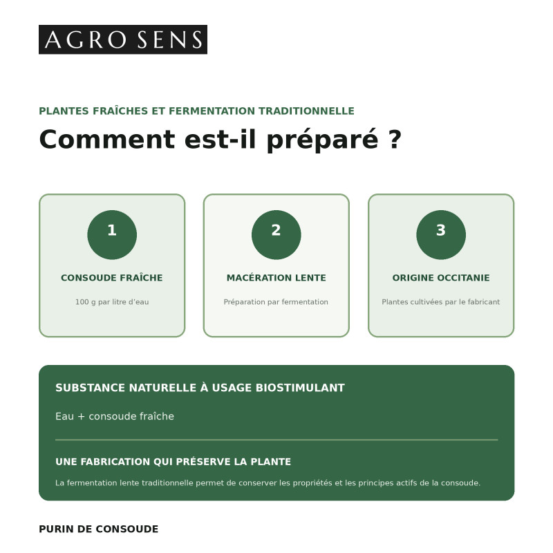 Purin de consoude concentré | Comptoir des Jardins