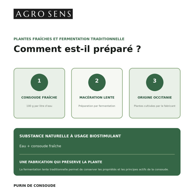 Purin de consoude concentré | Comptoir des Jardins