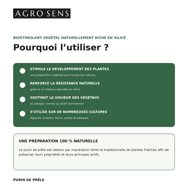 Purin de prêle concentré | Comptoir des Jardins