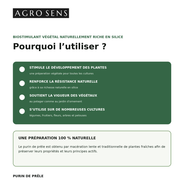 Purin de prêle concentré | Comptoir des Jardins