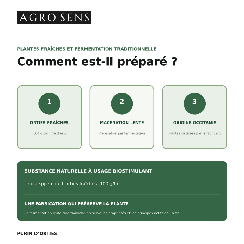 Purin d'orties concentré | Comptoir des Jardins