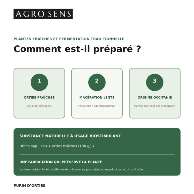 Purin d'orties concentré | Comptoir des Jardins