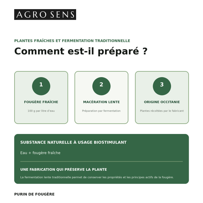 Purin de fougère concentré | Agro Sens