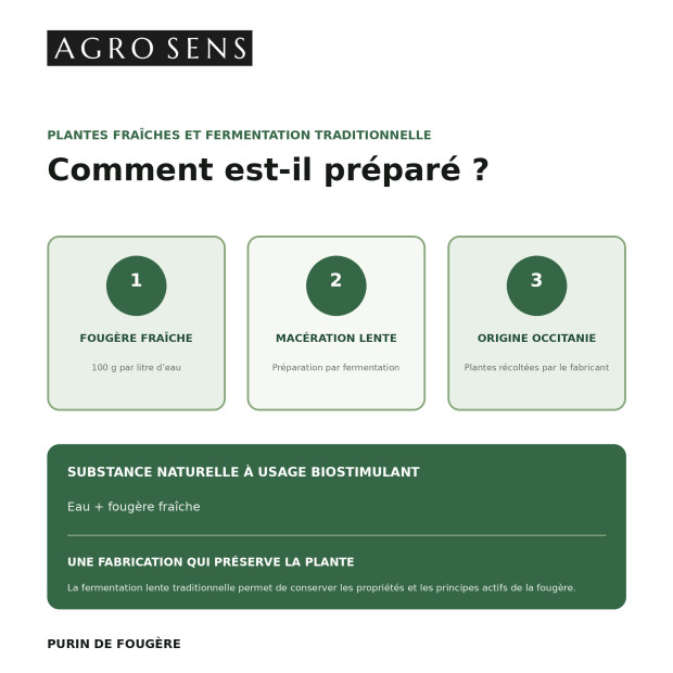 Purin de fougère concentré | Agro Sens
