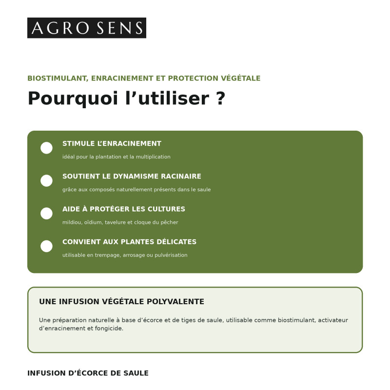 Infusion de saule concentrée | Comptoir des Jardins