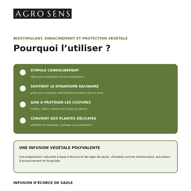 Infusion de saule concentrée | Comptoir des Jardins