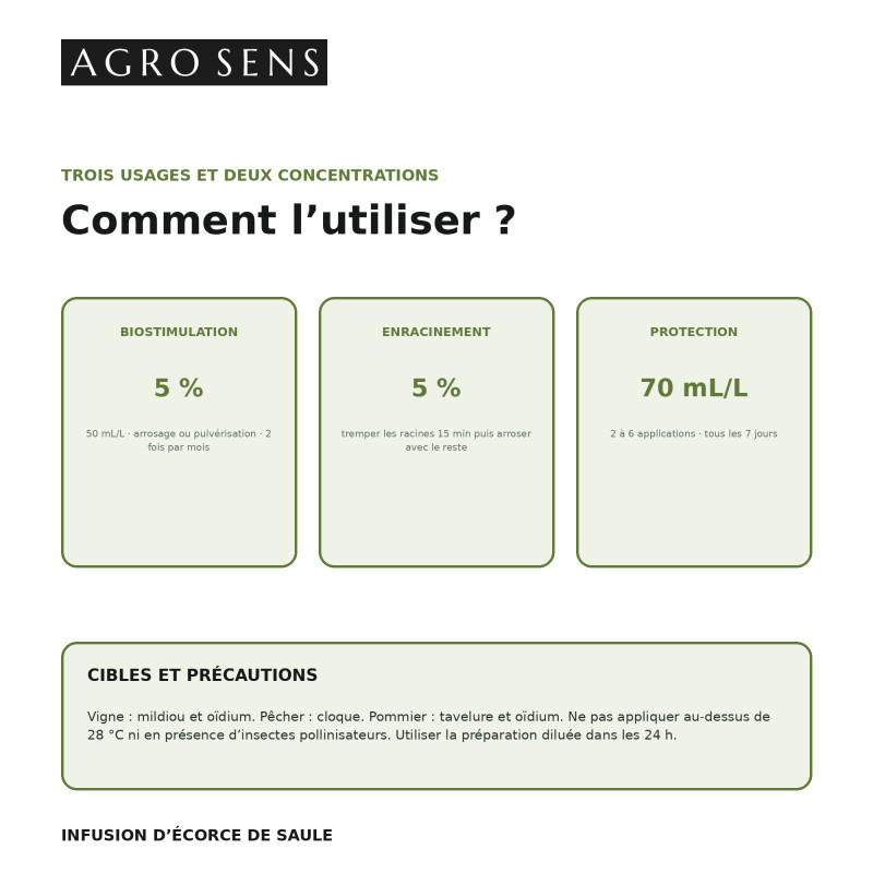 Infusion de saule concentrée | Comptoir des Jardins