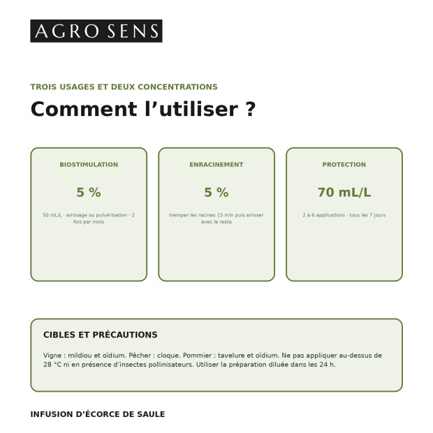 Infusion de saule concentrée | Comptoir des Jardins