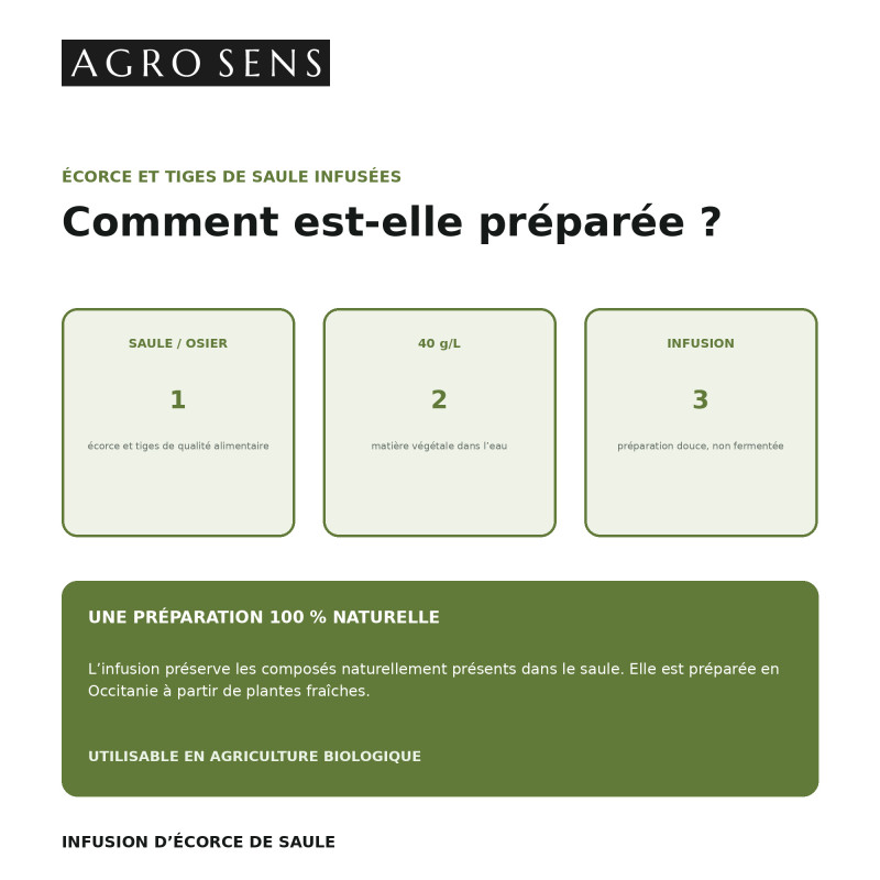 Infusion de saule concentrée | Comptoir des Jardins