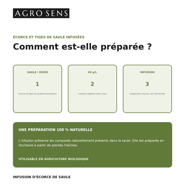 Infusion de saule concentrée | Comptoir des Jardins