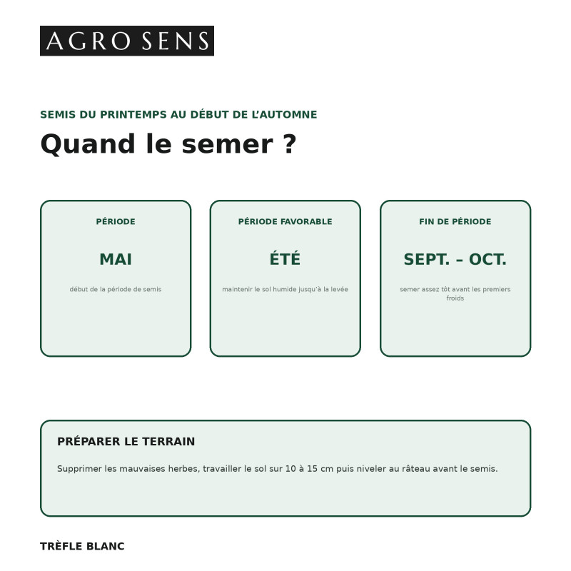 Graines de trèfle blanc - Engrais vert à semer