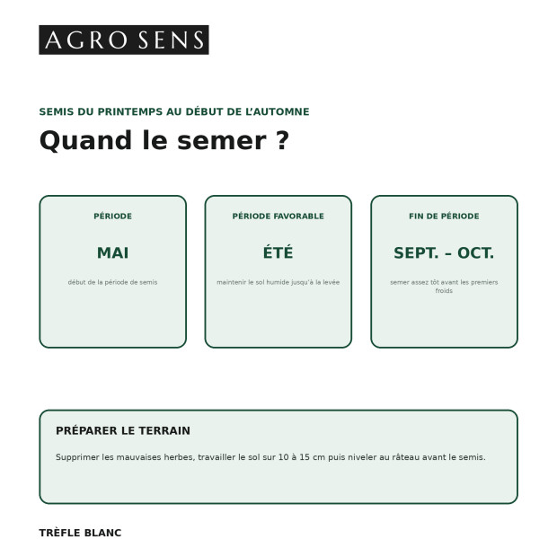 Graines de trèfle blanc - Engrais vert à semer