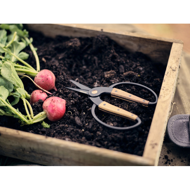 Ciseaux de Jardin Barebones - Lames Inox et Manche en Noyer | Comptoir des Jardins