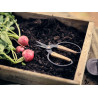 Ciseaux de Jardin Barebones - Lames Inox et Manche en Noyer | Comptoir des Jardins