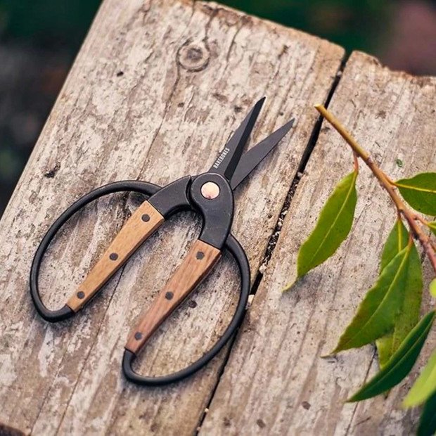 Ciseaux de Jardin Barebones - Lames Inox et Manche en Noyer | Comptoir des Jardins