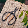 Ciseaux de Jardin Barebones - Lames Inox et Manche en Noyer | Comptoir des Jardins
