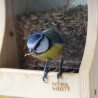 Vers de Farine Déshydratés pour Oiseaux