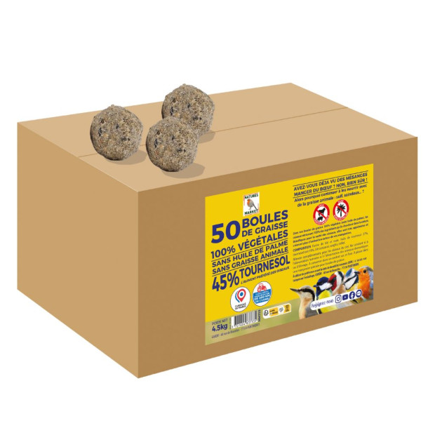Pack 50 Boules de Graisse Végétales + Mangeoire Tube Offerte | Comptoir des Jardins