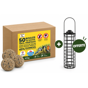 Pack 50 Boules de Graisse Végétales + Mangeoire Tube Offerte | Comptoir des Jardins