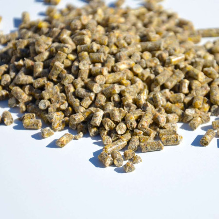Aliment complet biologique pour poules pondeuses. Sac de 10 kg