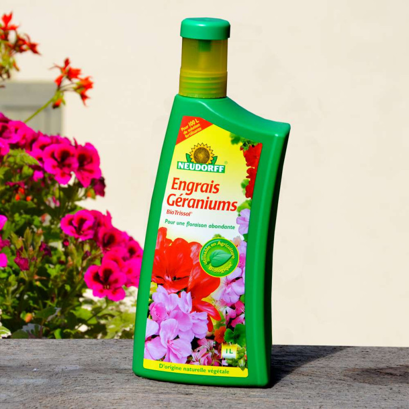 Geranium Liquid Geranium Engrais Liquide : Comment faire fleurir abondamment les ...