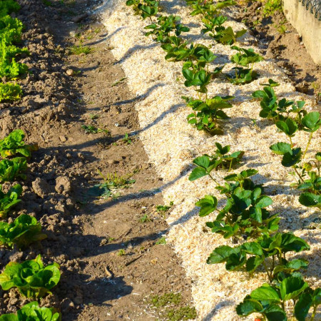 Paillis de chanvre biologique. Paillage spécial potager 180 litres