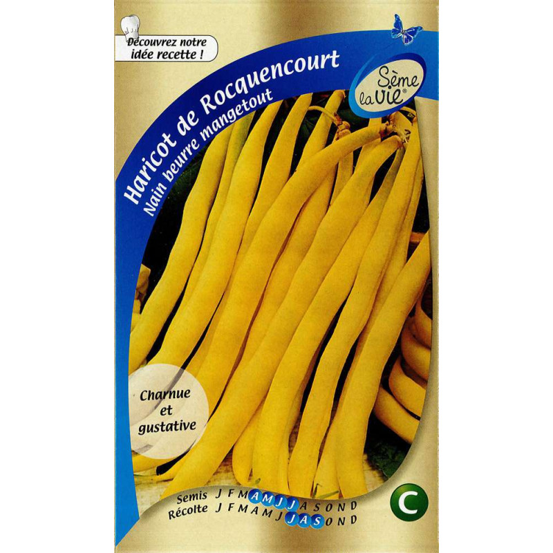 Graines De Haricots Français Jaunes Rocquencourt - Sachet 100g - Pour Jardin Et Serre