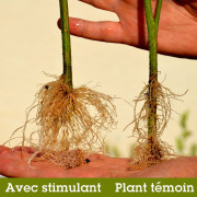 Osiryl - Stimulateur de croissance racinaire professionnel