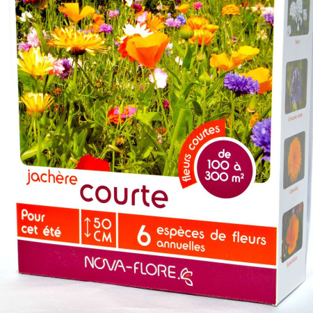 Jachère fleurie basse pour grands espaces. 100 à 300 m²