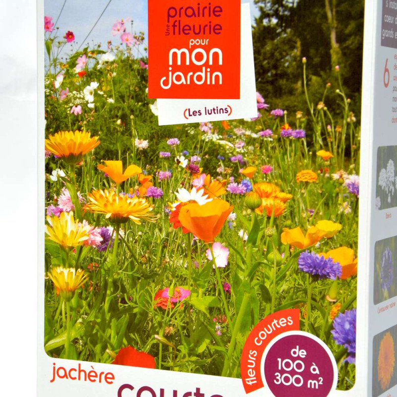 Jachère fleurie basse pour grands espaces. 100 à 300 m²