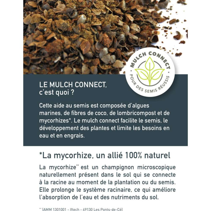 Mélange de plantes nettoyantes pour limiter le désherbage. 30 à 250 m²