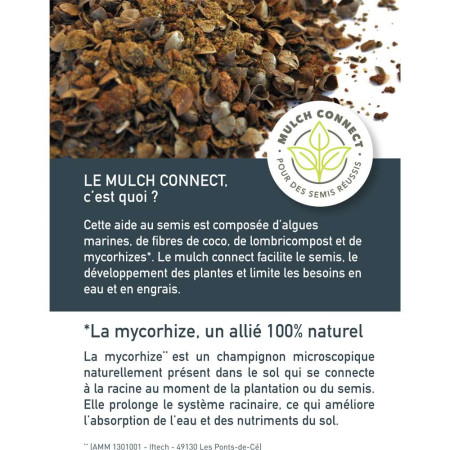 Mélange de plantes nettoyantes pour limiter le désherbage. 30 à 250 m²