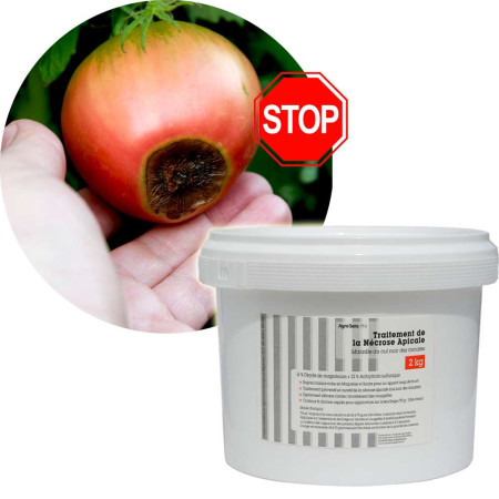 Traitement de la nécrose apicale ou cul noir des tomates