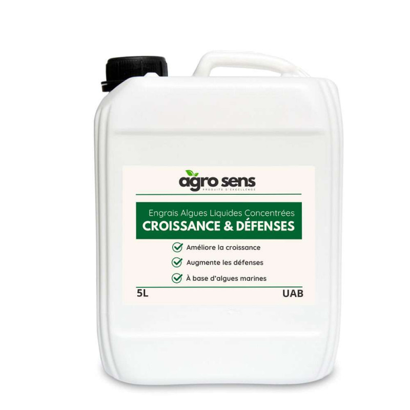 Engrais Liquide Orchid Focus Croissance 100ml - Soin Concentré Premium Pour Orchidées