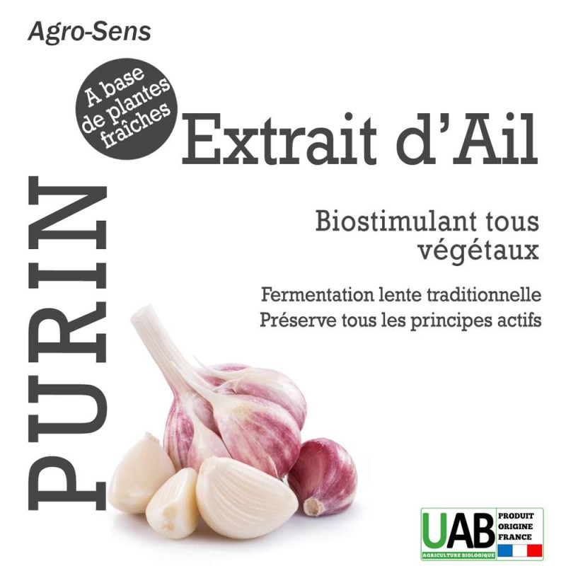 Extrait d'ail concentré