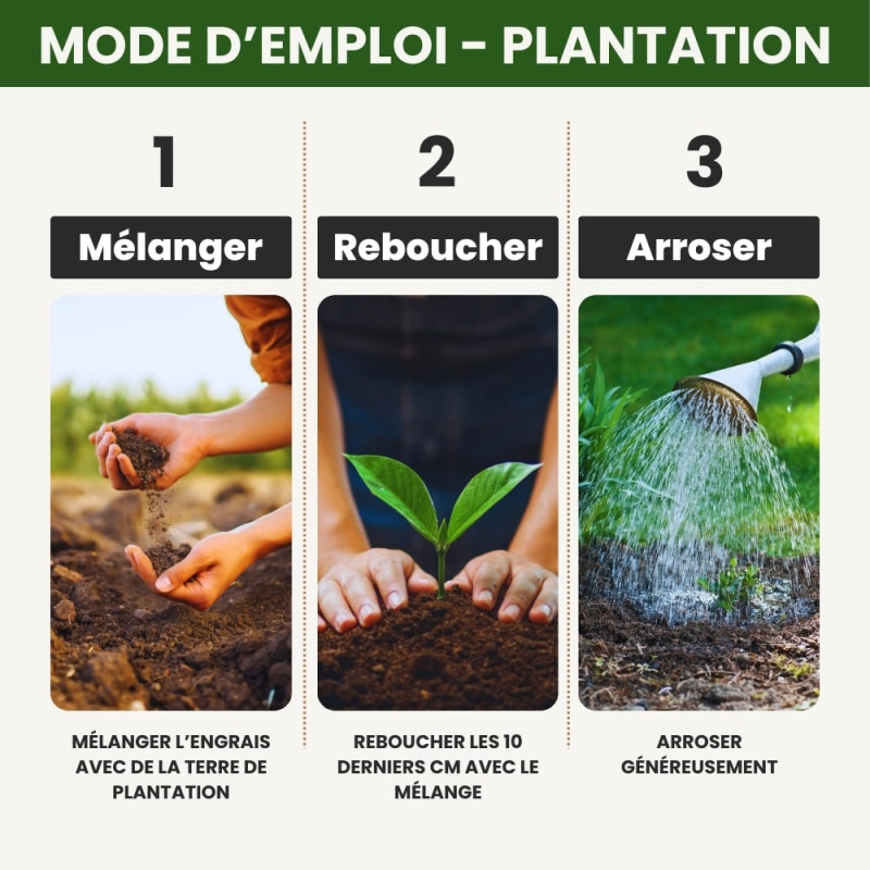 Engrais plantation riche en phosphore, spécial reprise racinaire